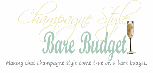 cropped-champagnestyleheaderpng.png