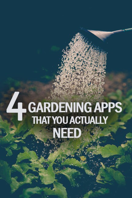 4 Gardening Apps That You Actually Need