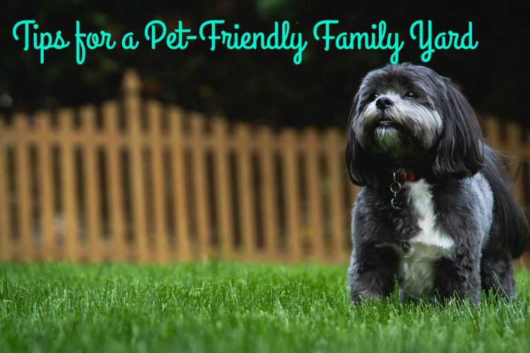 Tips for a Pet-Friendly Family Yard