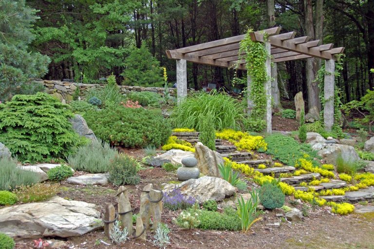 Step by Step Guide: How to Build a Rock Garden