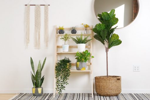 DIY Ladder Plant Stand from North Carolina Lifestyle Blogger Champagne Style Bare Budget