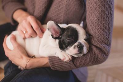 How Pets Help Reduce Stress