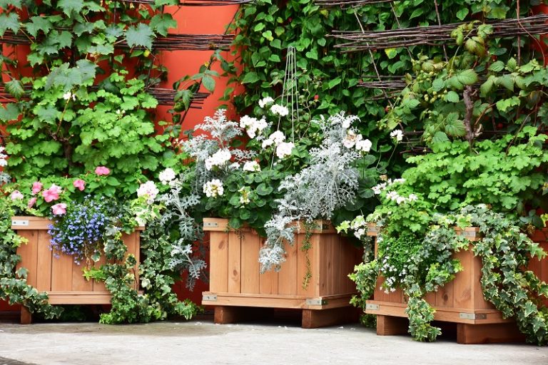 How to Choose the Right Kind of Planter Boxes for Apartment Gardens