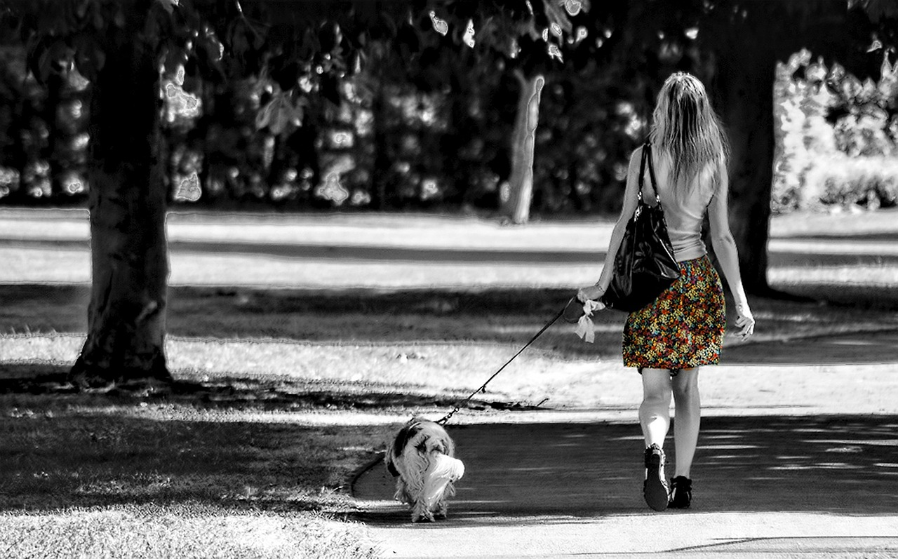 Safety Tips for Dog Walkers from North Carolina Lifestyle Blogger Champagne Style Bare Budget