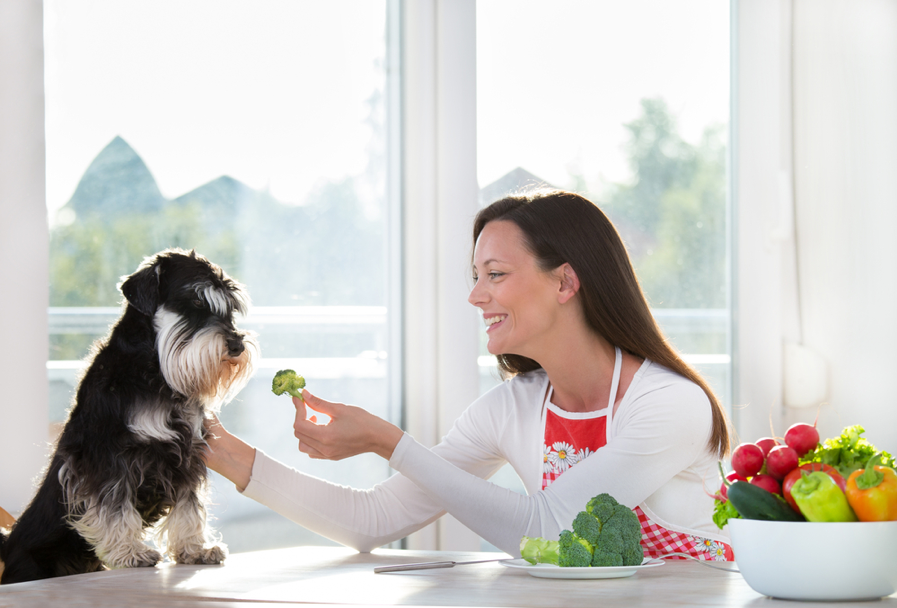 Essential Guide to Your Dog’s Ideal Diet from North Carolina Lifestyle Blogger Champagne Style Bare Budget