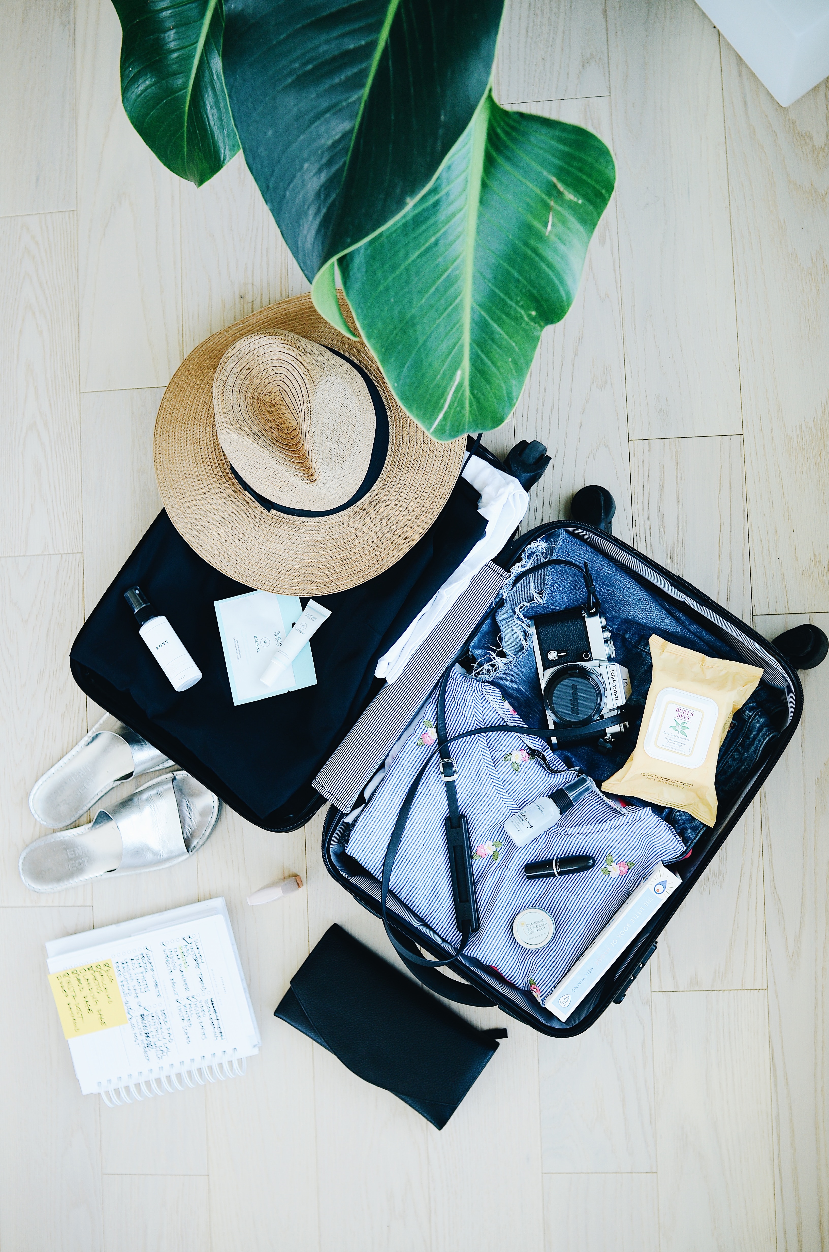A Few Safety Precautions to Consider While travelling Overseas from North Carolina Lifestyle Blogger Champagne Style Bare Budget