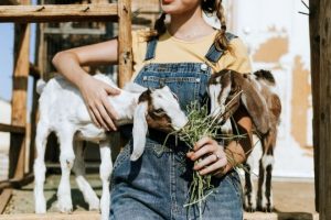 Crucial Tips for Starting a Hobby Farm from North Carolina Lifestyle Blogger Champagne Style Bare Budget