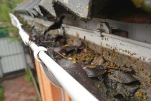 Top Causes of Home Exterior Damage