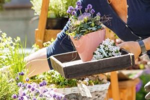 3 Ways To Spruce Up Your Garden This Spring