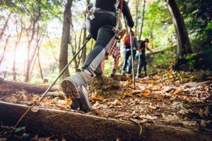 Planning Tips for a Successful Hiking Trip