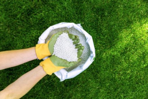 How To Properly Apply Fertilizer to Your Lawn