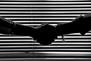 The Power of Collaboration: How Partnerships Fuel Business Growth