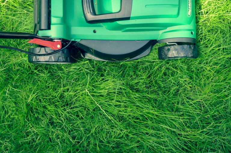 Less Work, More Green: A Smarter Way to Mow