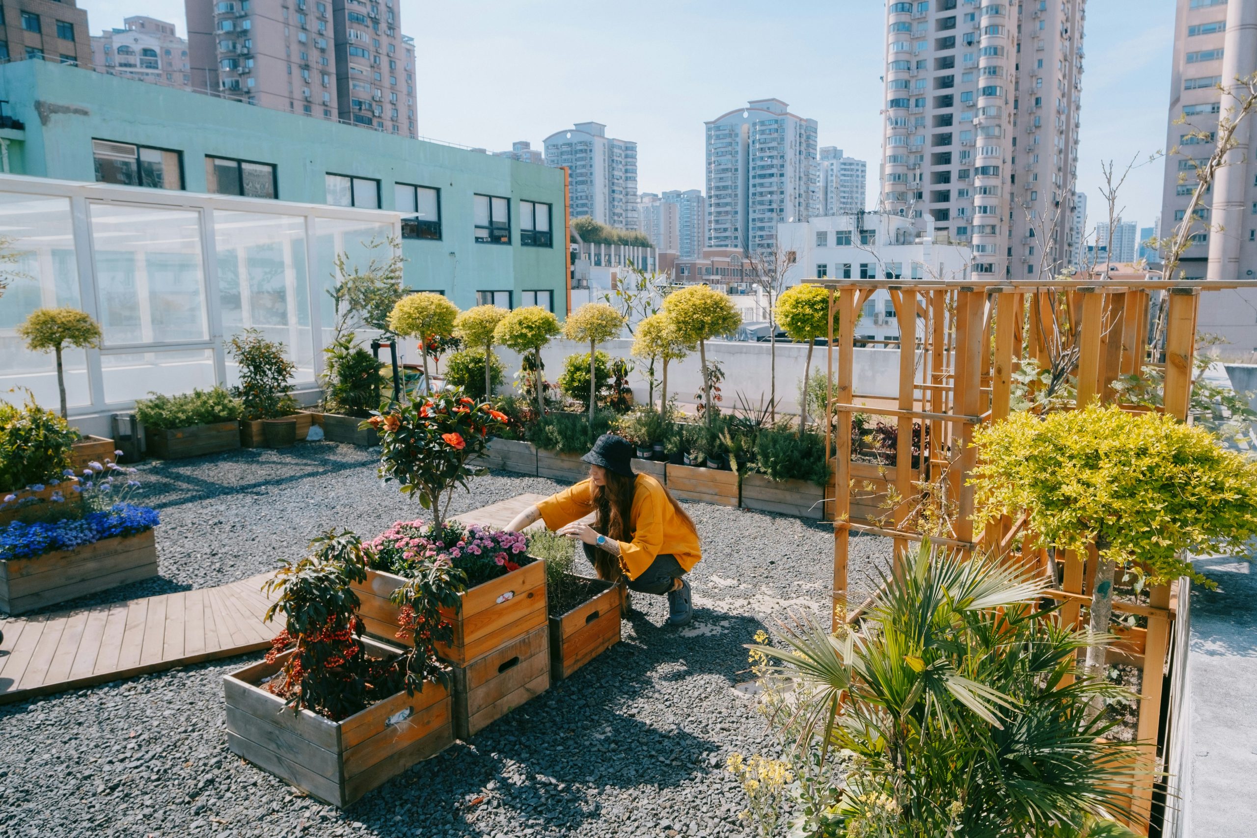 Where Can Urban Gardeners Grow a Bountiful Harvest?
