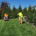 North Carolina Homeowners Are Spending Less on Lawn Care — But Tipping More in 2026