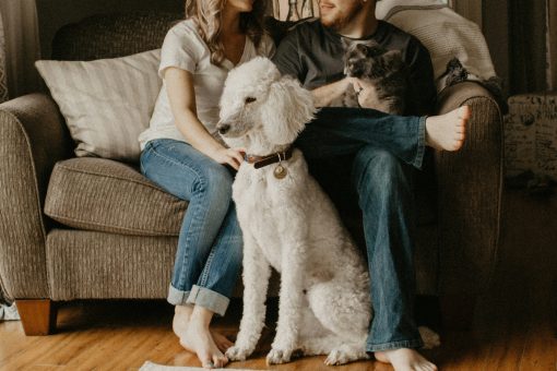 Heatwave Survival Guide for Pet Owners: Simple Ways to Keep Your Furry Family Safe This Summer
