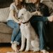 Heatwave Survival Guide for Pet Owners: Simple Ways to Keep Your Furry Family Safe This Summer