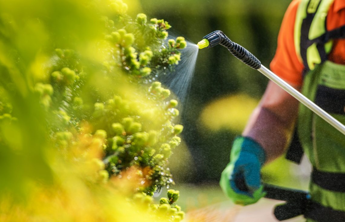 The Hidden Costs of Lawn Chemicals and Why More Homeowners Are Going Organic