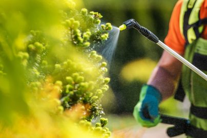 The Hidden Costs of Lawn Chemicals and Why More Homeowners Are Going Organic