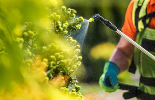 The Hidden Costs of Lawn Chemicals and Why More Homeowners Are Going Organic