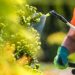 The Hidden Costs of Lawn Chemicals and Why More Homeowners Are Going Organic