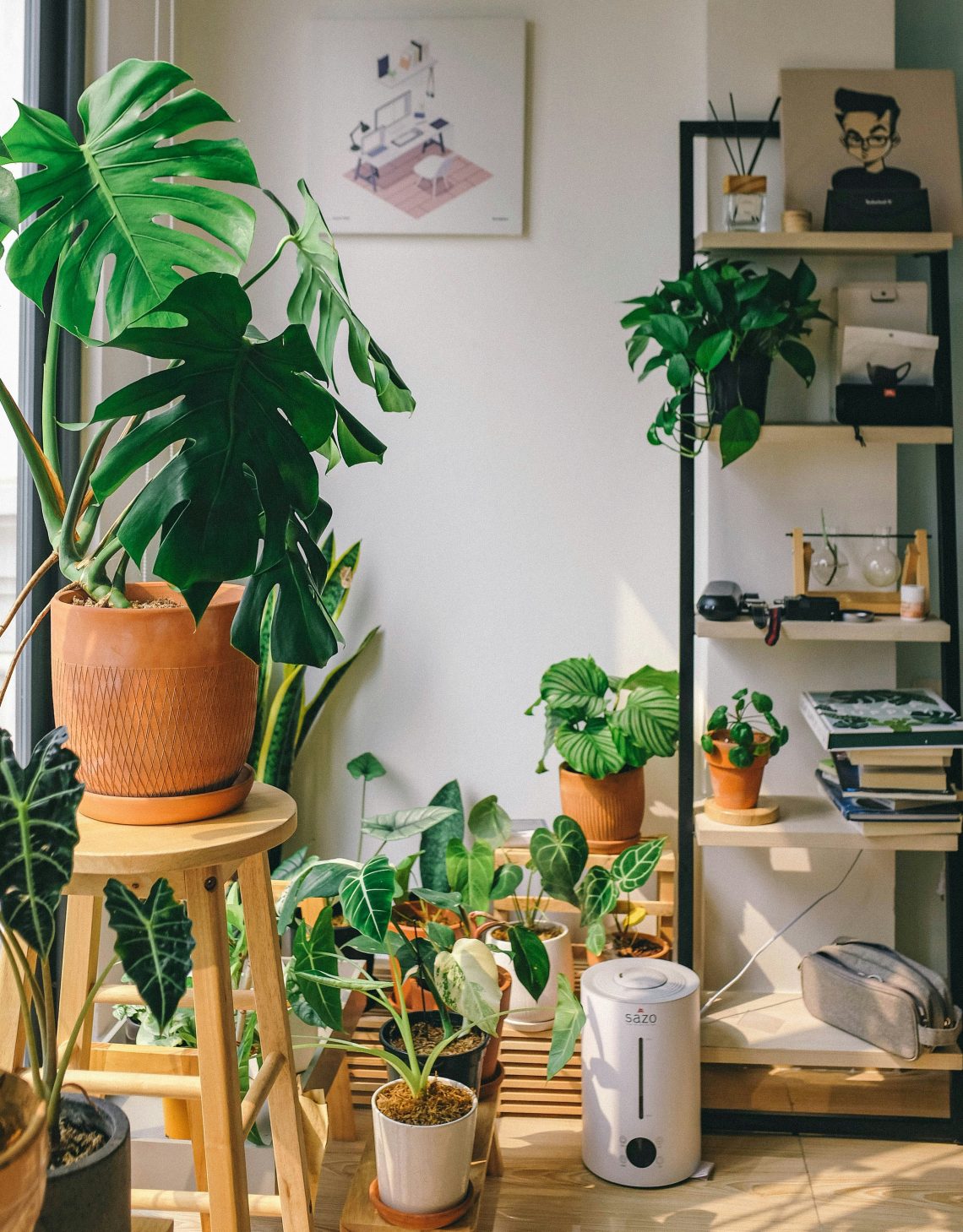 Vacation-Proof Plants: Beautiful Greenery That Won't Mind If You Leave for a While