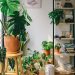 Vacation-Proof Plants: Beautiful Greenery That Won't Mind If You Leave for a While