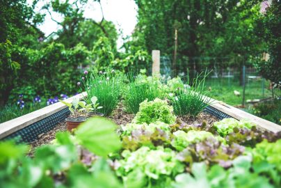 How to Prepare Your Garden Before You Leave on Vacation