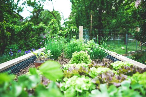 How to Prepare Your Garden Before You Leave on Vacation