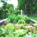How to Prepare Your Garden Before You Leave on Vacation