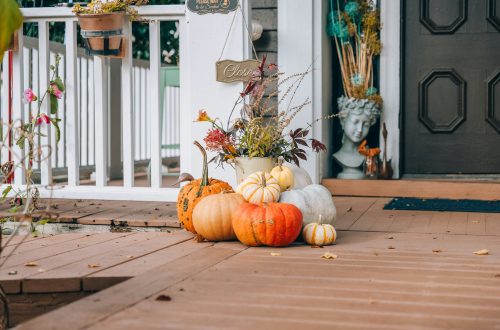 Fall Pest Prevention Tips to Protect Your Home and Budget