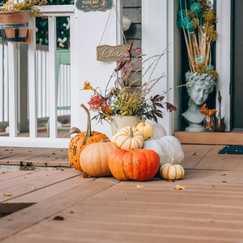 Fall Pest Prevention Tips to Protect Your Home and Budget
