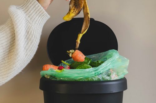 Which States Are Doing the Best Job at Cutting Down on Waste?