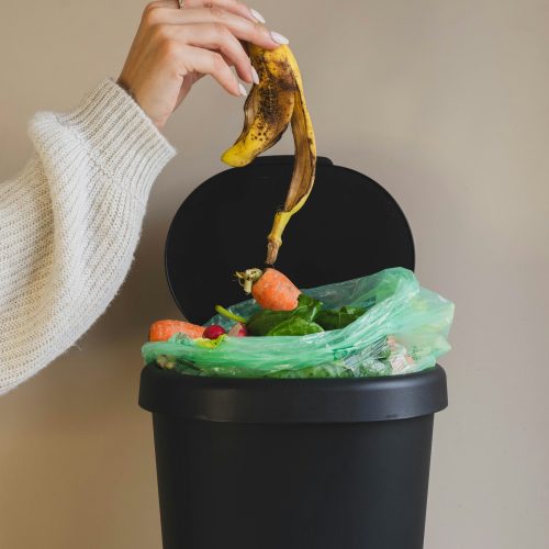 Which States Are Doing the Best Job at Cutting Down on Waste?