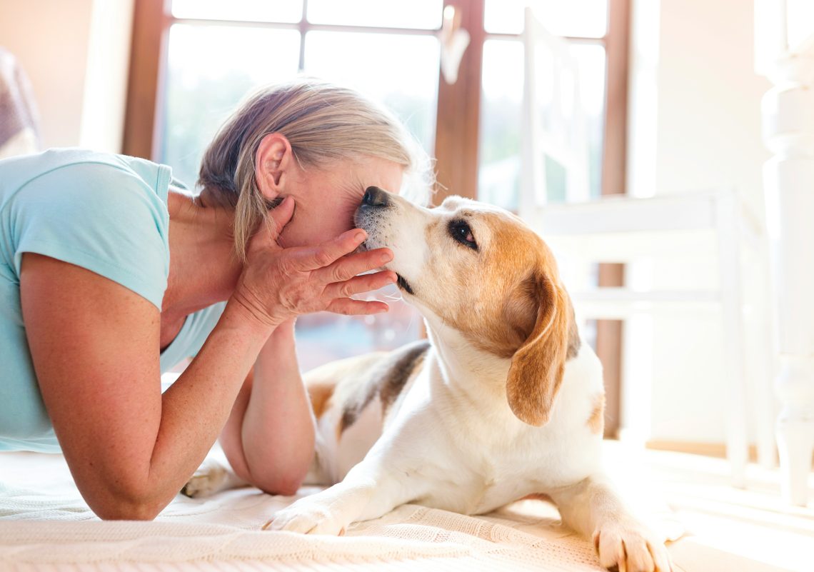 Bad Breath in Dogs: What Causes It & How to Deal With It