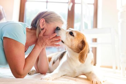 Bad Breath in Dogs: What Causes It & How to Deal With It