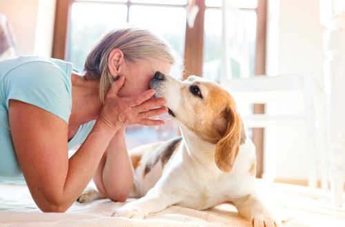 Bad Breath in Dogs: What Causes It & How to Deal With It
