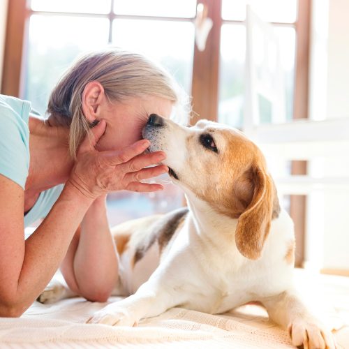Bad Breath in Dogs: What Causes It & How to Deal With It