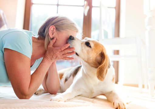 Bad Breath in Dogs: What Causes It & How to Deal With It