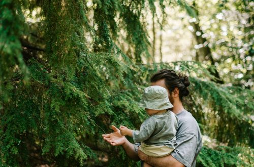 Where Dads Check In Most: A Look at Shared Parenting Across America
