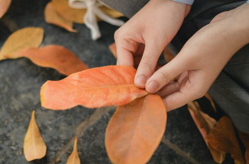 12 Solo Dates Perfect for Fall That Won’t Break Your Budget