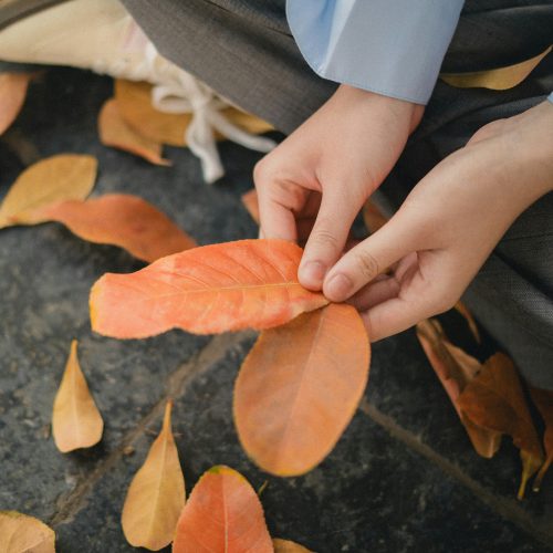 12 Solo Dates Perfect for Fall That Won’t Break Your Budget