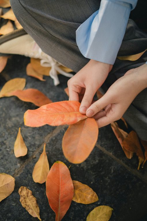 12 Solo Dates Perfect for Fall That Won’t Break Your Budget