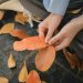 12 Solo Dates Perfect for Fall That Won’t Break Your Budget